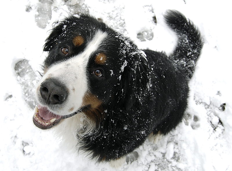 1+++Anton_DSC1516 Kopie.jpg